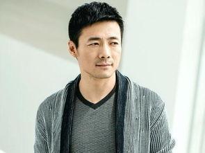 男明星 国内,璀璨星河中的璀璨星辰