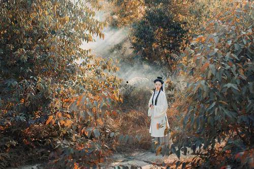 鱼幼薇的背景,才情横溢的古代才女，传奇人生与诗词传世