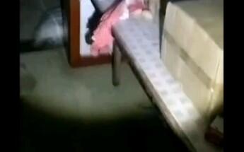 邪恶美女主播,揭秘邪恶美女主播的神秘魅力